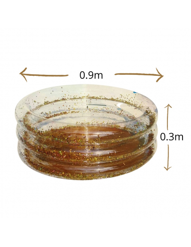 PISCINA TRANSPARENT AMB PURPURINA...