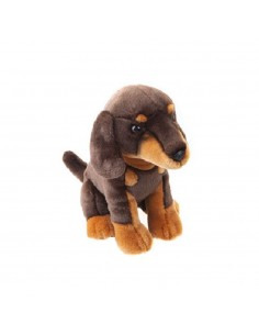 PERRO DACHSHUND/PERRO...