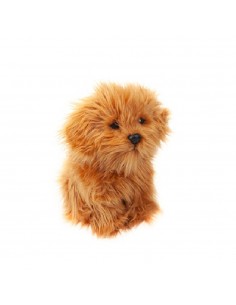 PERRO CAVAPOO 25CM