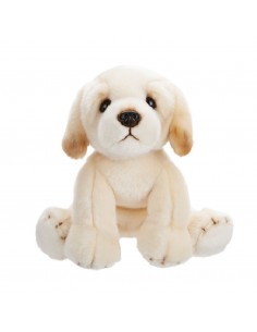 PERRO LABRADOR 3 COLORES... 2