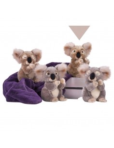 KOALA REAL LIFE 4 MODDELS 23cm 2