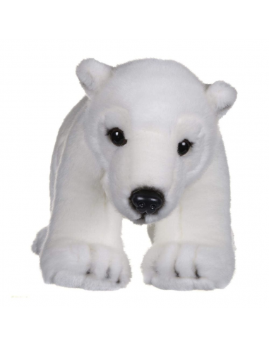 OS POLAR 30CM BBC EARTH
