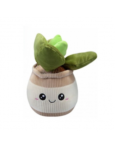 PLANTA PELUIX 3 MODELS 20CM