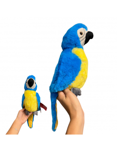LORO 23CM