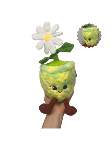 PELUIX PLANTA 22CM 6 MODELS