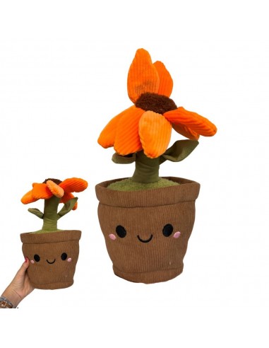 PLANTA Y FLORES EN MACETA 30CM CARITA...