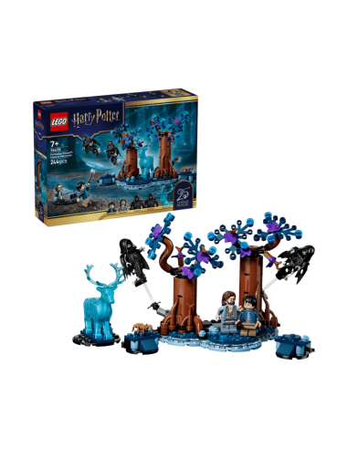76475 LEGO HARRY POTTER BOSC...